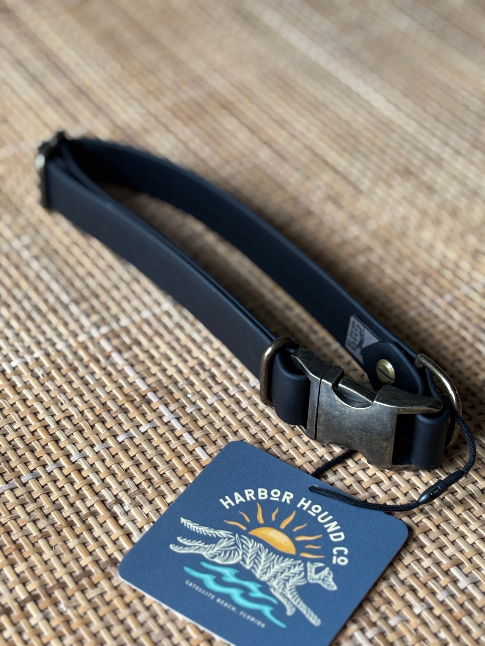 1" BLACK, 18-25" Quick-release Buckle Collar