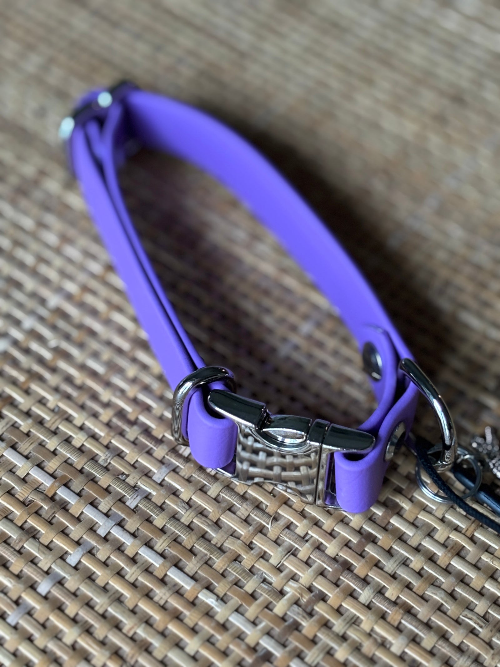 3/4" ORCHID, 11-15" Quick-release Buckle Collar