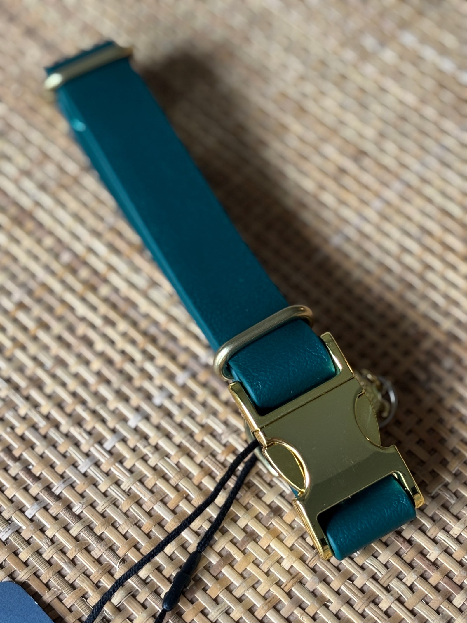 1" DARK GREEN, 14-19" Quick-release Buckle Collar