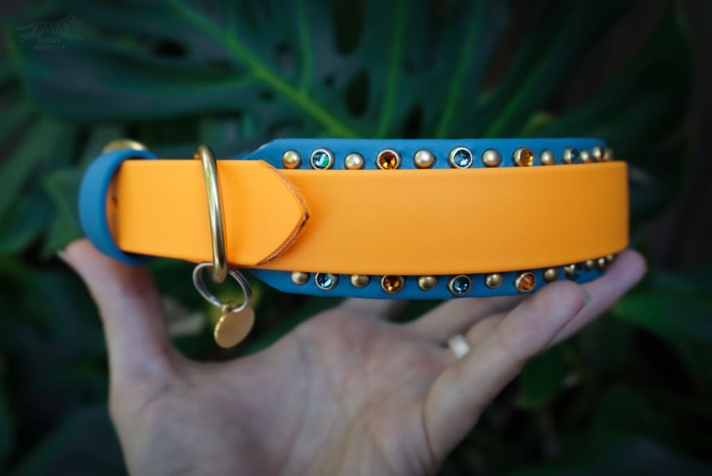 1.5 ERIDIAN Studded Buckle Collar - Waterproof Collar