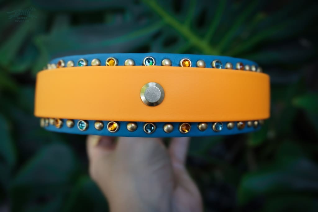 1.5 ERIDIAN Studded Buckle Collar - Waterproof Collar