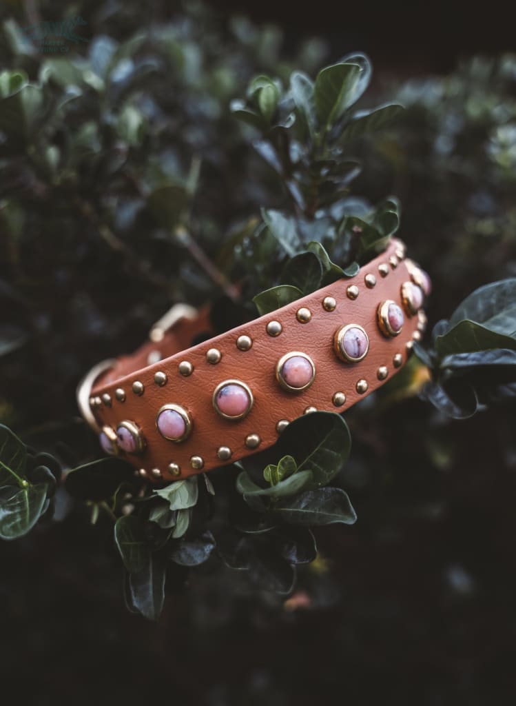 1.5 LETO Gemstone Buckle Collar - Please Choose One - Waterproof Collar