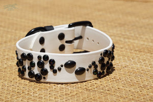 1.5 OPHIDIA Buckle Collar 14.5-16.5