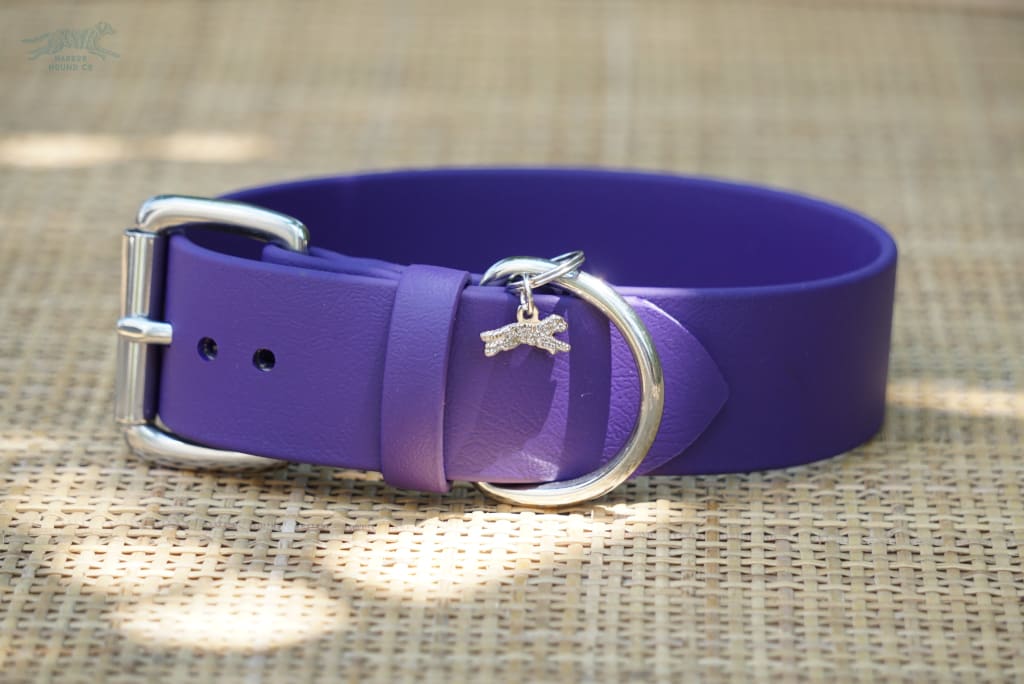 1.5 Purple Buckle Collar 15-17