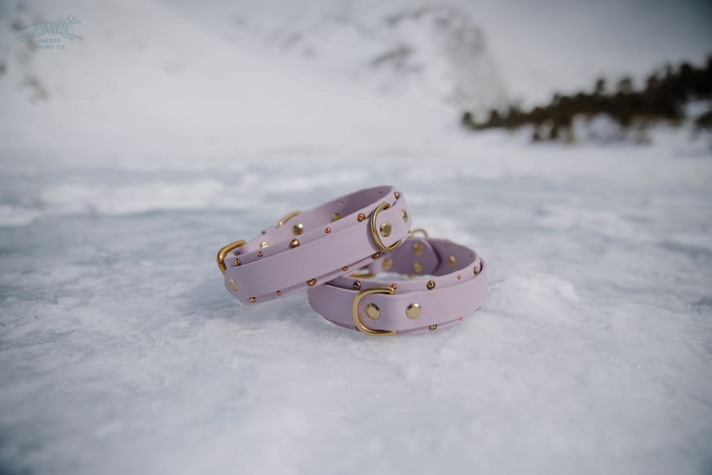 1.5 RIYA Studded Buckle Collar - Waterproof Collar