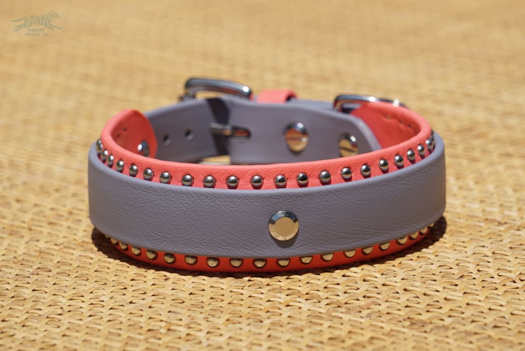 1.5 Taliesin Buckle Collar 14.5-16.5