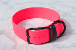 1.5 inch Bright Pink Buckle collar with Black Buckle and Black hardware
