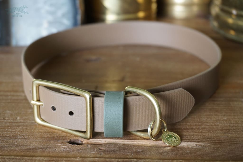 1 Acu Buckel Collar - Waterdog Collar