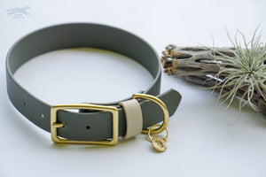 1 Acu Buckel Collar - Waterdog Collar