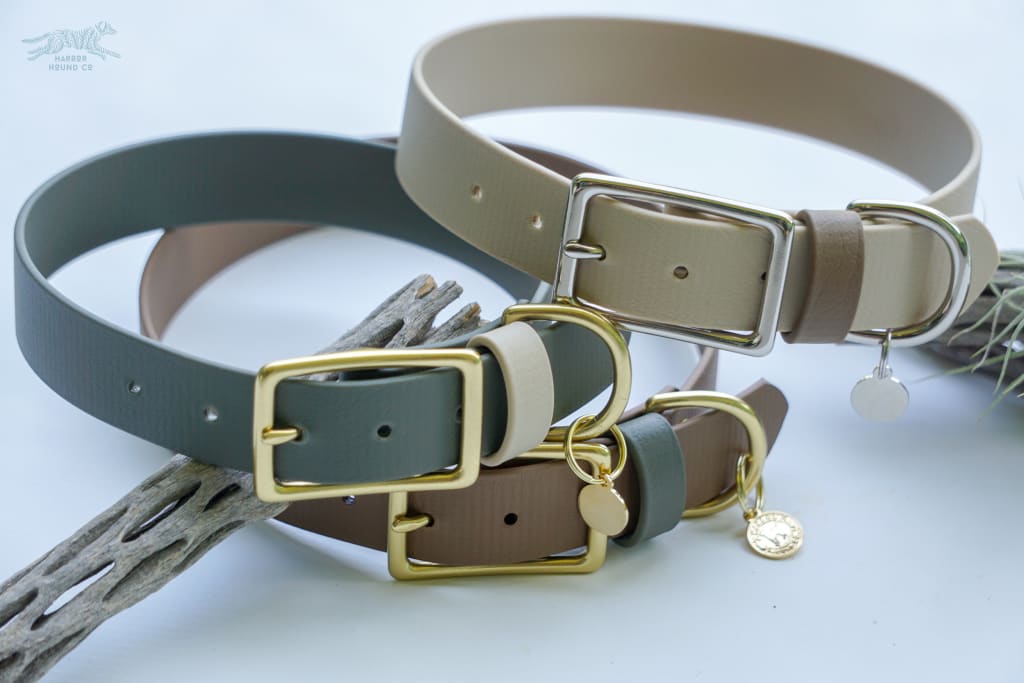 1 Acu Buckel Collar - Waterdog Collar