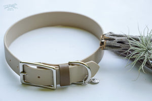1 Acu Buckel Collar - Waterdog Collar