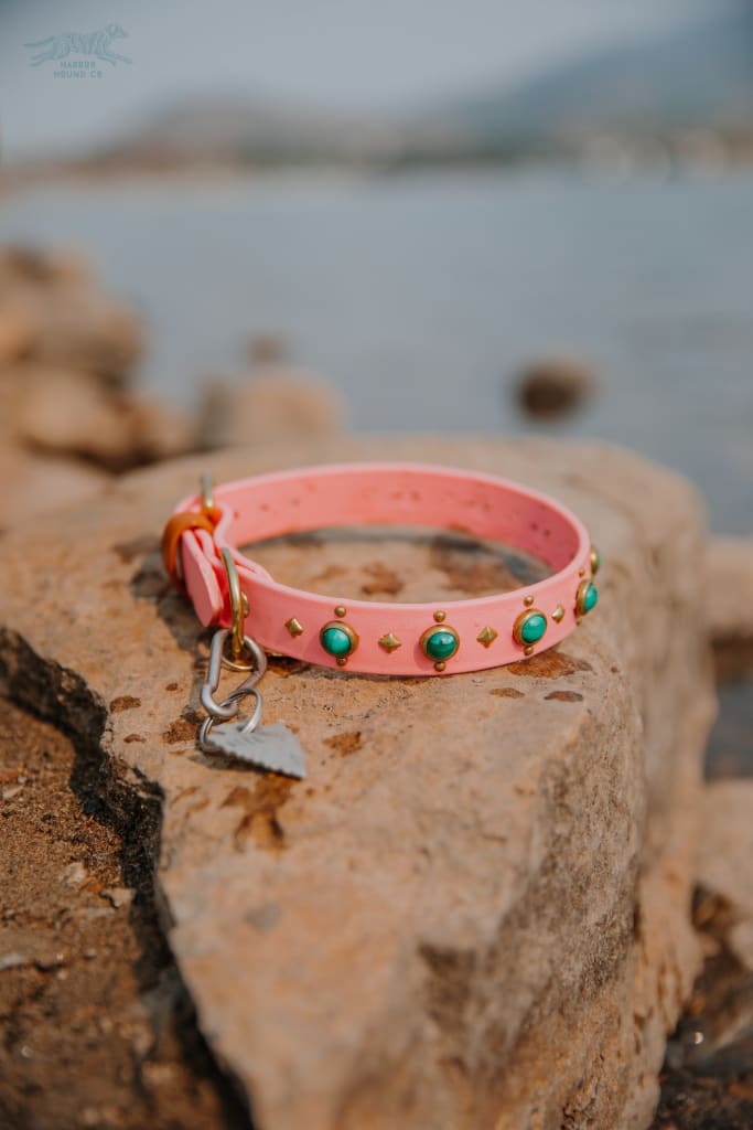 1 ASTERIA Gemstone Buckle Collar - Waterproof Collar