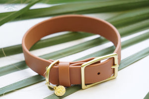 1 inch wide Water Dog Buckle Collar - Waterdog Collar from Biothane with solid brass rust proof buckle