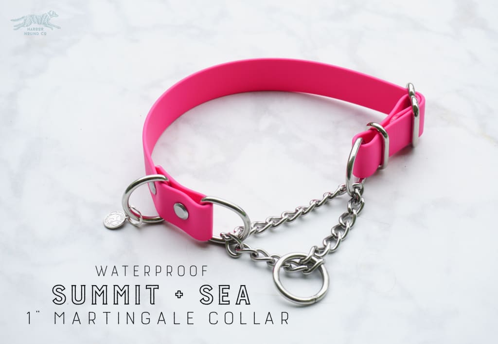 1 Waterproof Martingale Collar - Waterproof Collar