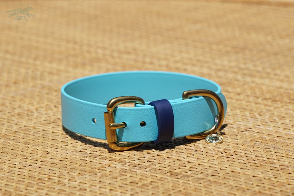 1 Wide Buckle Collar 14-16 - Dog Apparel