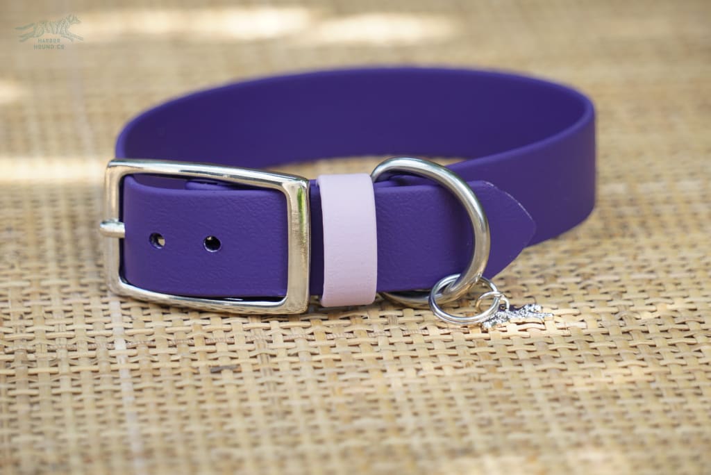 1 Wide Buckle Collar 14-16 - Dog Apparel