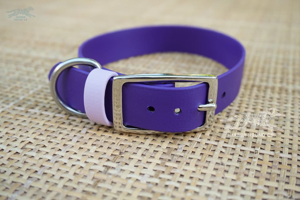 1 Wide Buckle Collar 14-16 - Dog Apparel