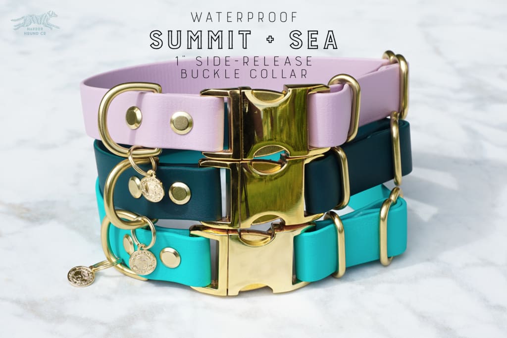 1 wide Side-Release Buckle Collar - Waterproof Collar