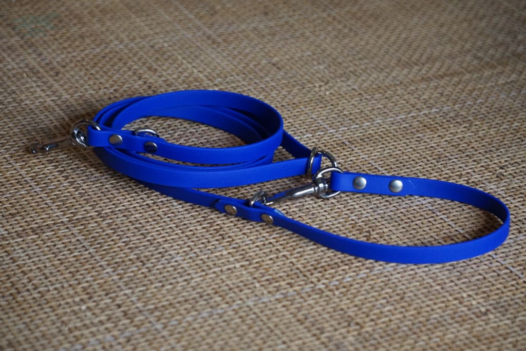 1/2 Petite Odyssey Adjustable Leash Pacific Blue