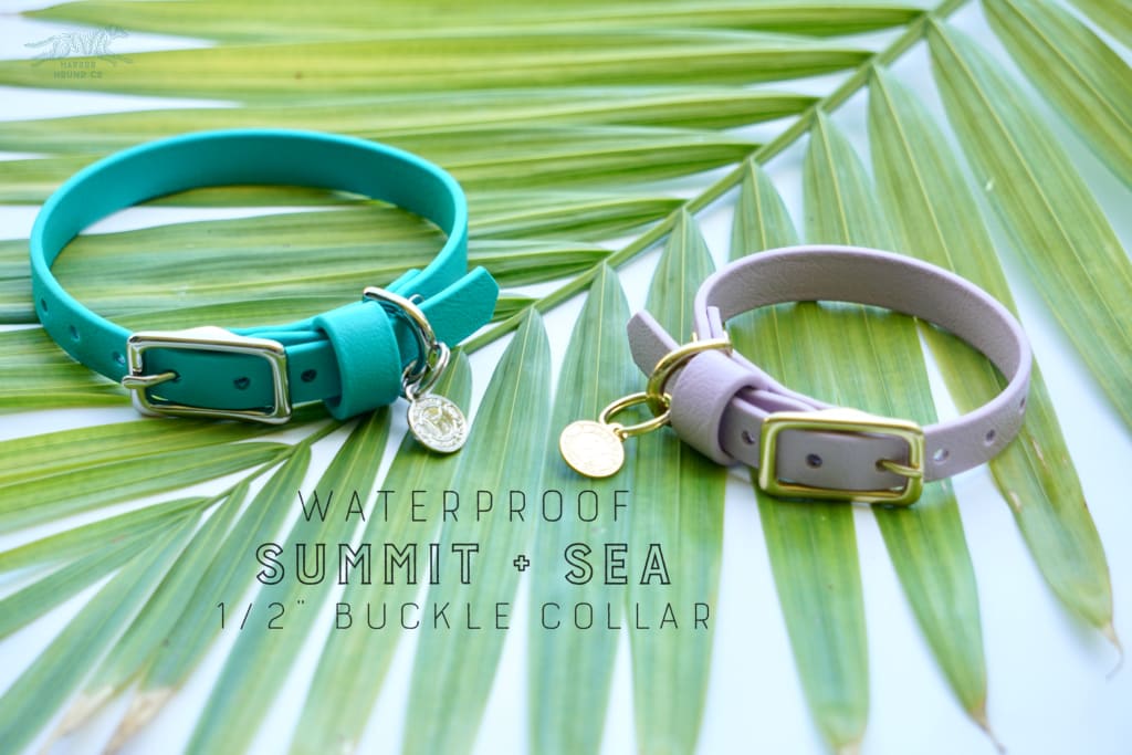 1/2 Petite Waterproof Buckle Collar - Waterproof Collar