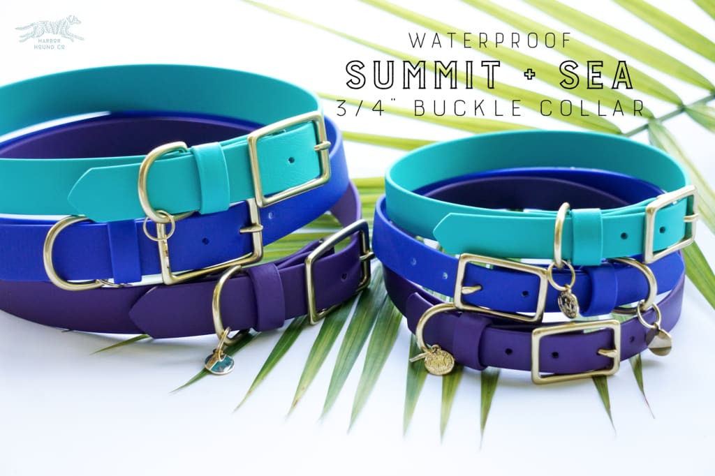 3/4 Medium Waterproof Buckle Collar - Waterproof Collar