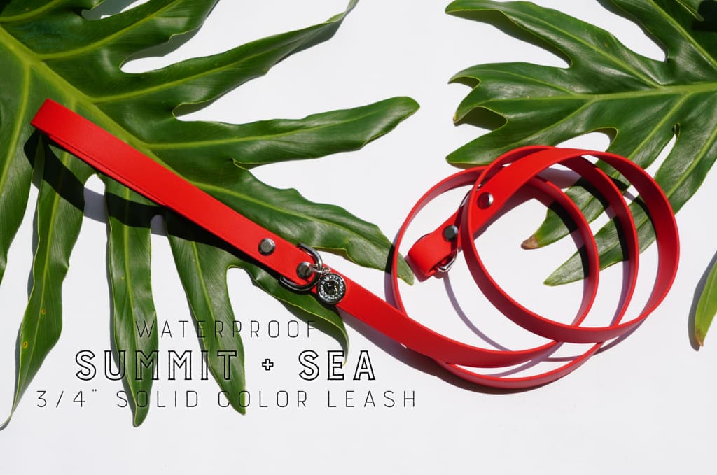 3/4 Medium Waterproof Leash - Waterproof Leash