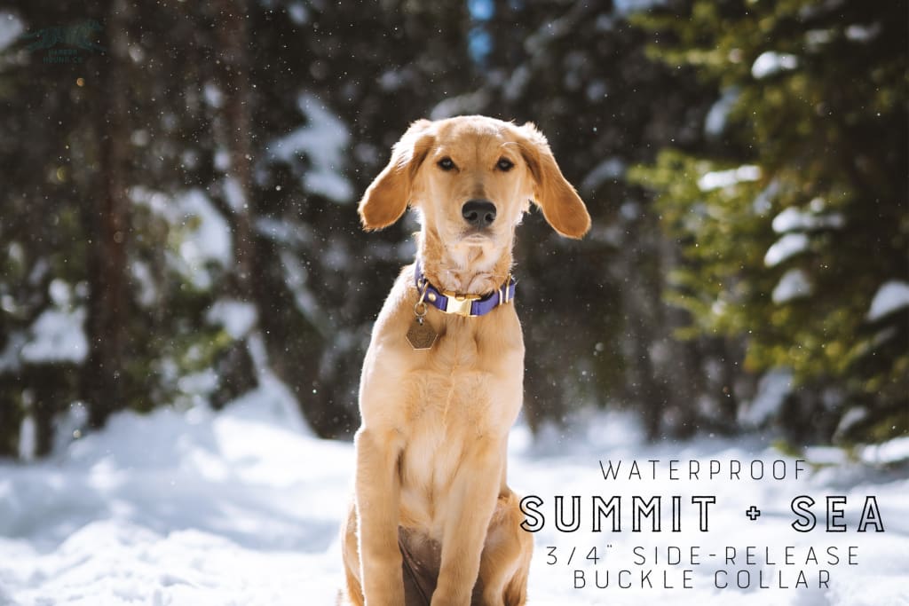 3/4 Side Release Buckle Collar - Waterproof Collar