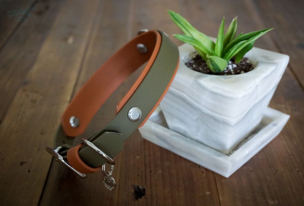 3/4 Taliesin Layered Buckle Collar - Waterproof Collar
