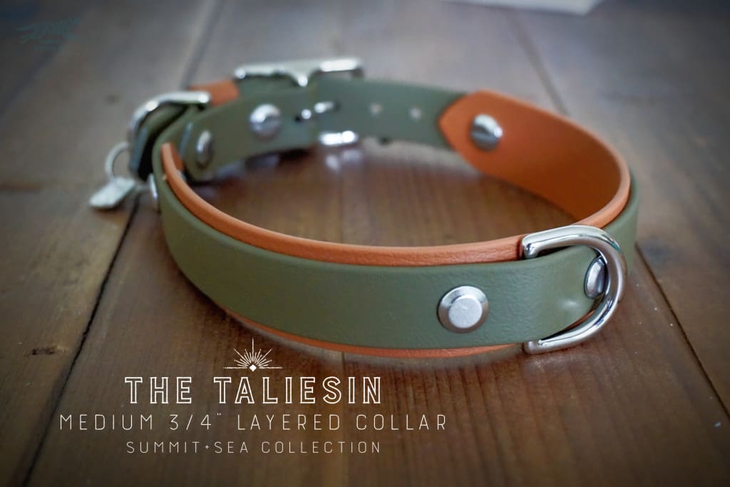 3/4 Taliesin Layered Buckle Collar - Waterproof Collar