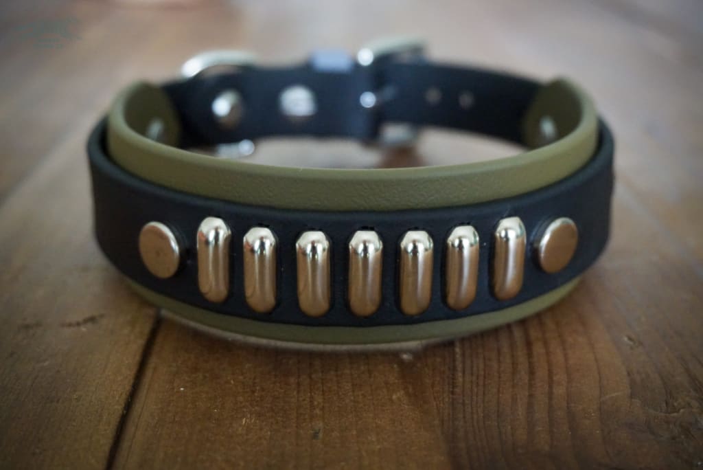 4 Paw Drive Layered Buckle Collar - Waterproof Collar