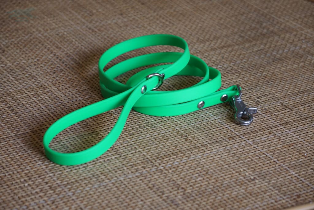 5 Foot 5/8 Bright Green Leash