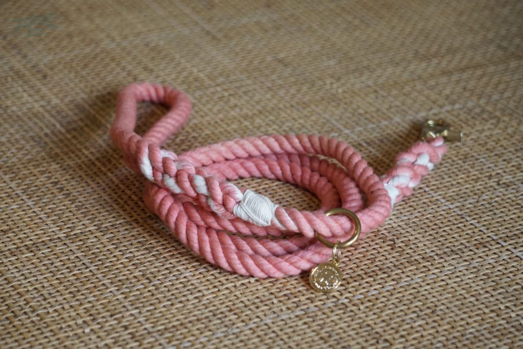 5’ Hand Dyed MED Dusty Rose Rope Leash