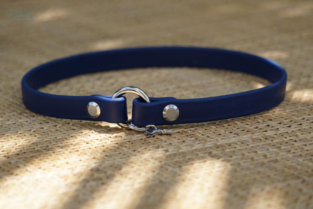 5/8 Navy Everyday Collar 21