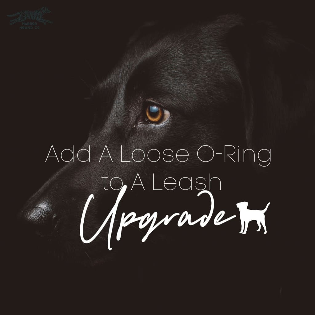 Add A Loose O-Ring to Your Leash - Upgrades