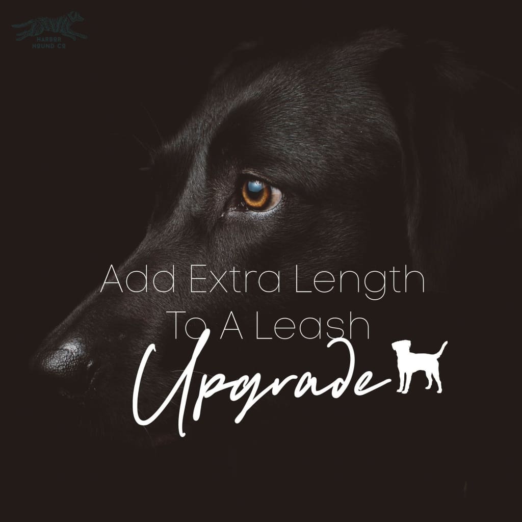 Add Length To Leash Order - Upgrades
