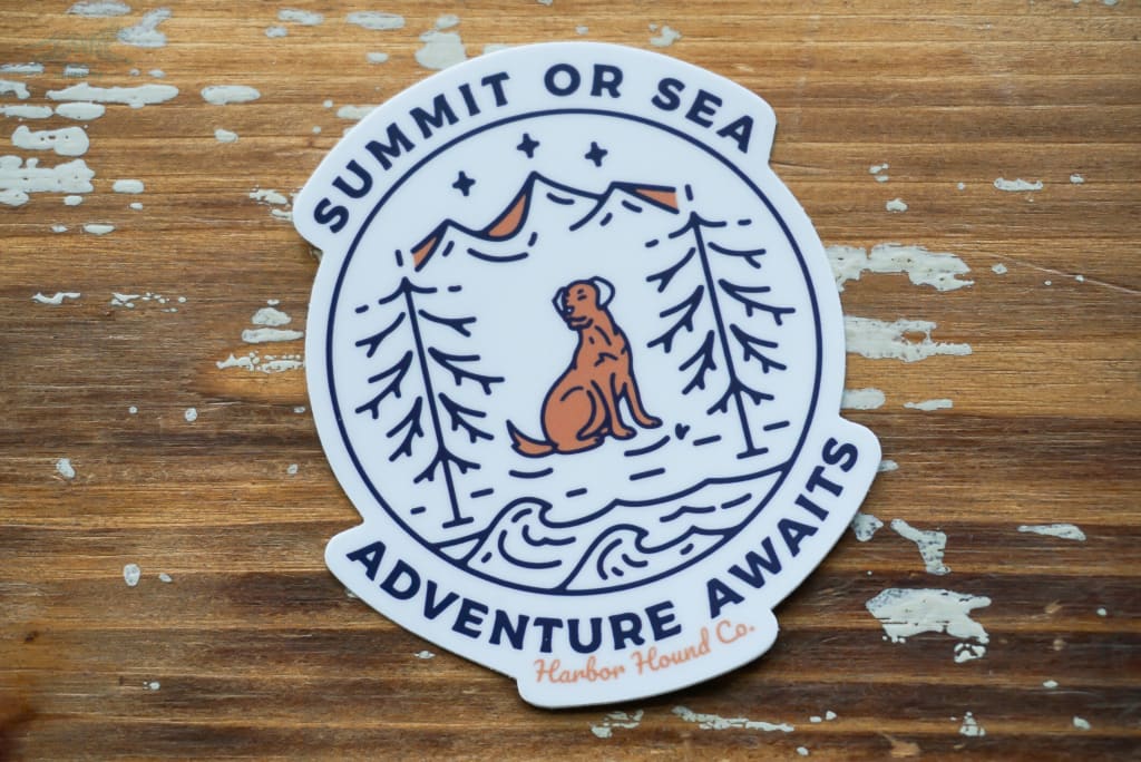 Adventure Awaits Sticker - Accessories