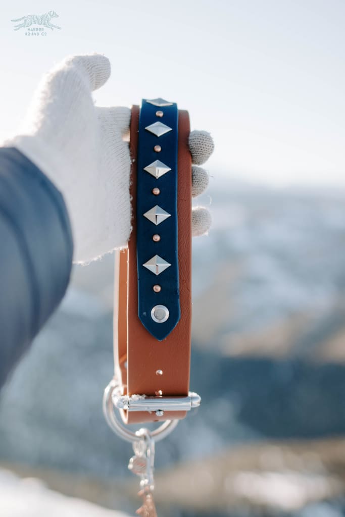 ATLAS 1.5 Studded Buckle Collar - Waterproof Collar