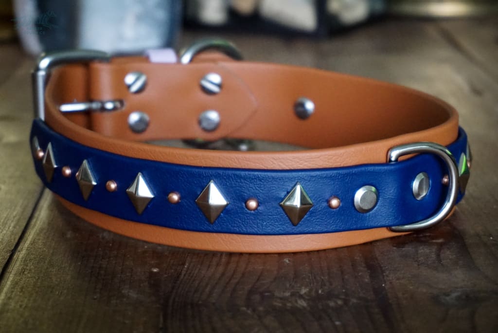 ATLAS 1.5 Studded Buckle Collar - Waterproof Collar
