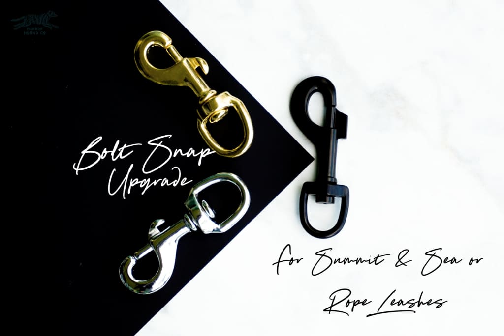 Bolt Snap Upgrade for Leash - Upgrades