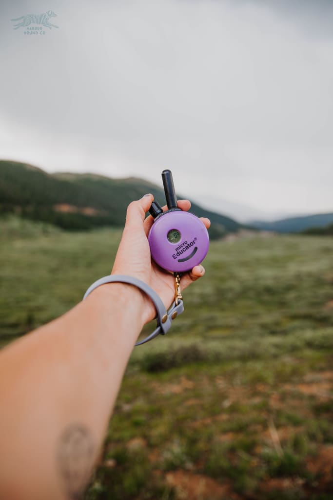 E-Collar Remote Wristlet - Upgrades