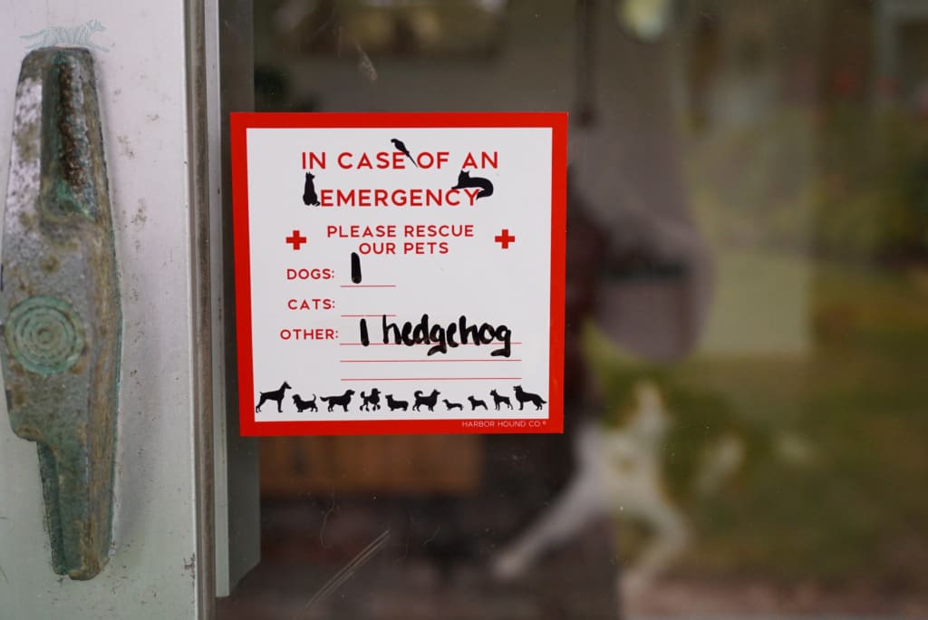 Emergency Alert Window Static Cling - Accessories