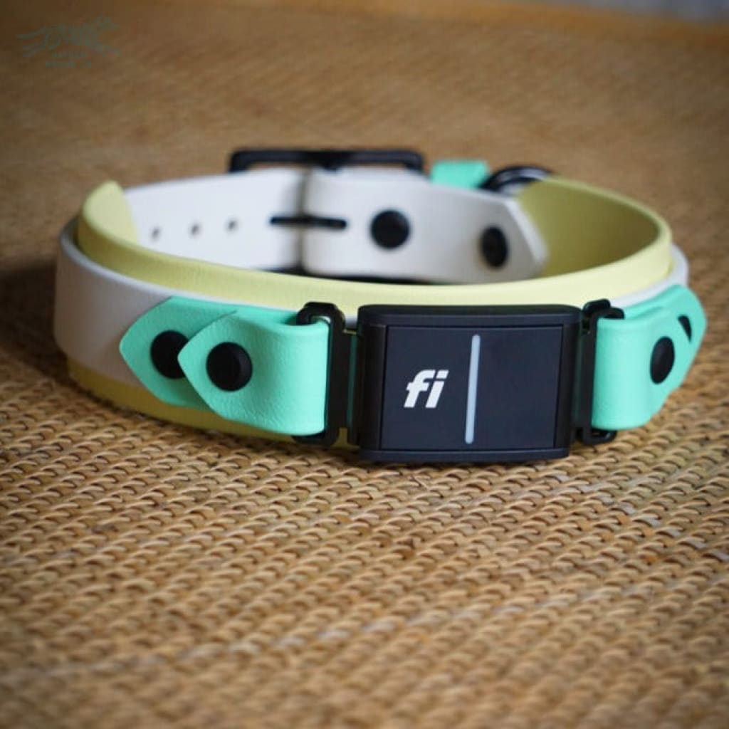Fi Compatible 1.5 Layered Buckle Collar - Waterproof Collar