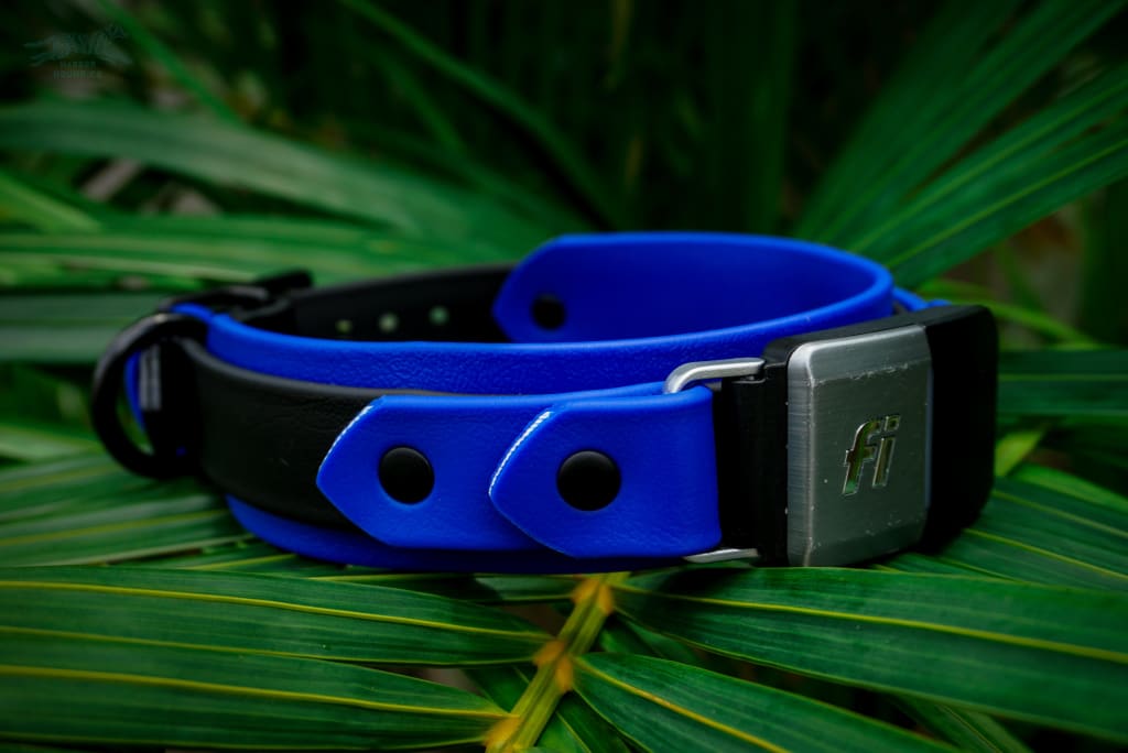 Fi Compatible 1.5 Layered Buckle Collar - Waterproof Collar