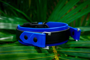 Fi Compatible 1.5 Layered Buckle Collar - Waterproof Collar