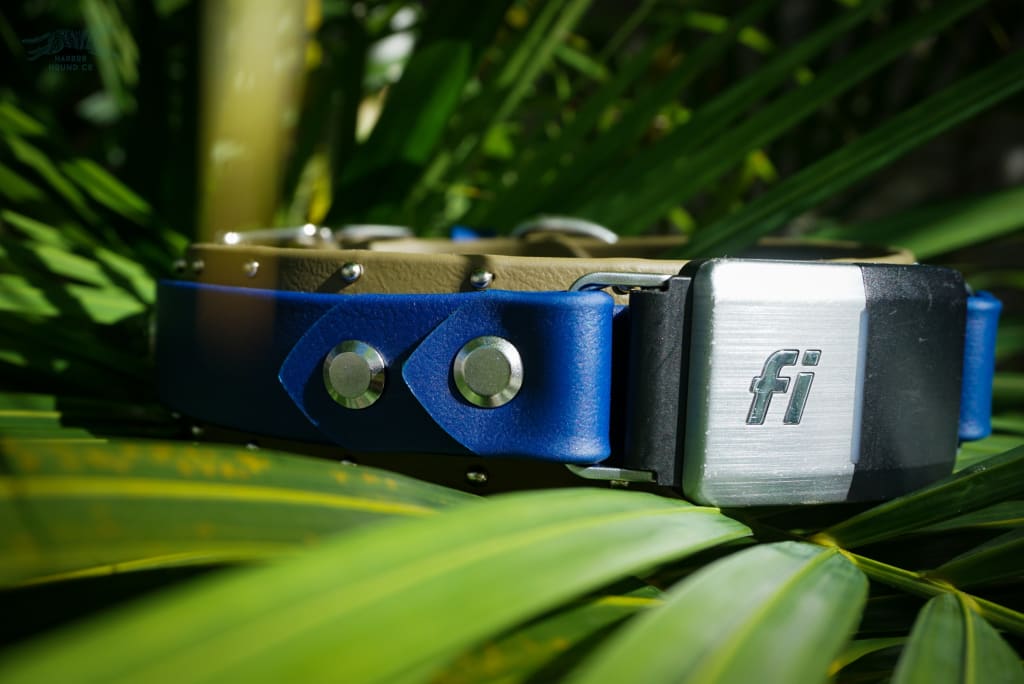 Fi Compatible 1.5 ORION Studded Buckle Collar - Waterproof Collar