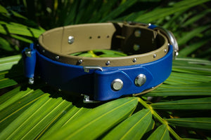 Fi Compatible 1.5 ORION Studded Buckle Collar - Waterproof Collar