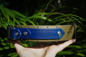 Fi Compatible 1.5 ORION Studded Buckle Collar - Waterproof Collar