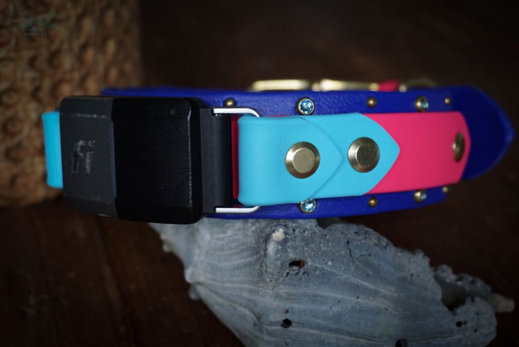 Fi Compatible 1.5 RIYA Studded Buckle Collar - Waterproof Collar