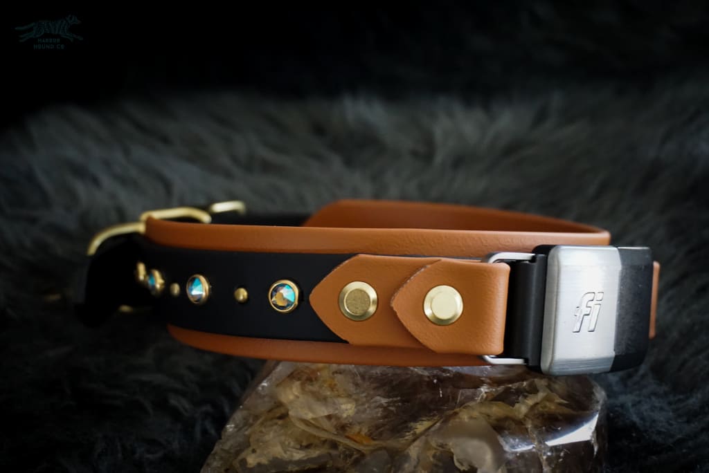 Fi Compatible 1.5 TOFINO Studded Buckle Collar - Waterproof Collar