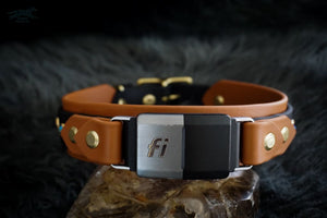 Fi Compatible 1.5 TOFINO Studded Buckle Collar - Waterproof Collar
